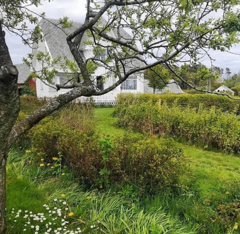 Shared Farmhouse Stavanger Exteriör bild