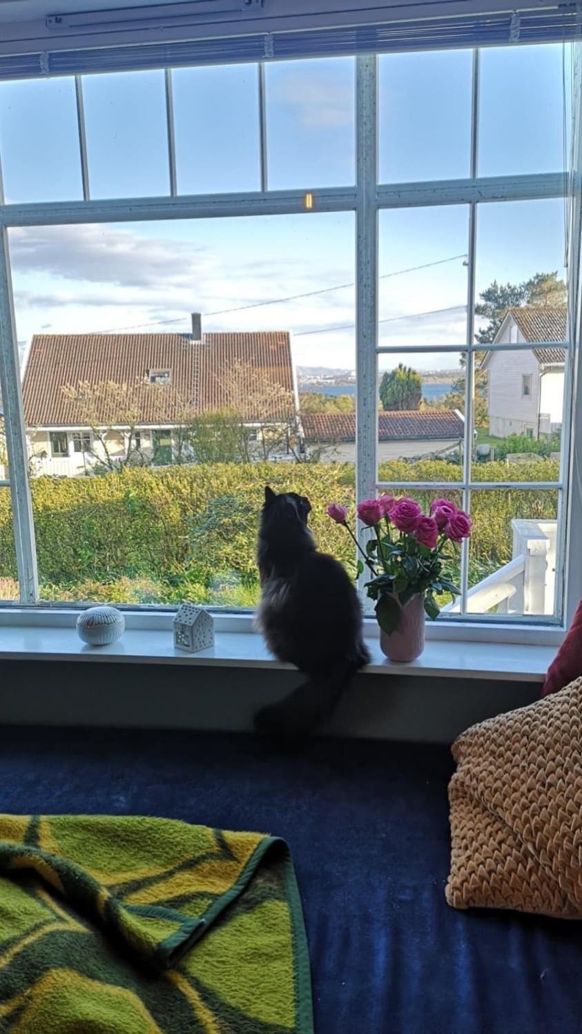 Shared Farmhouse Stavanger Exteriör bild